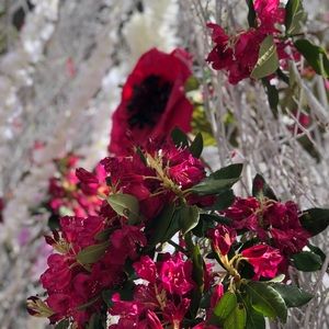 Meet your Posher, Trinity